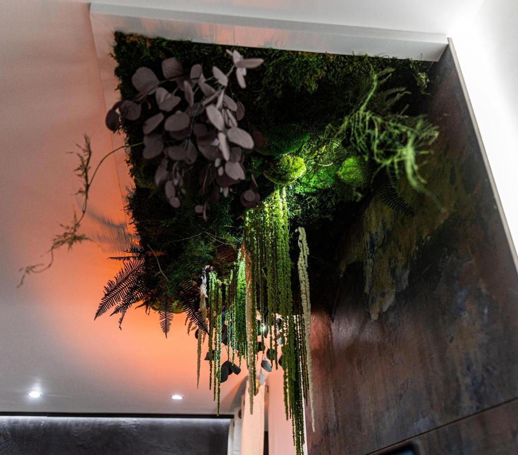 Le Vulcano : Duplex Lounge ! *